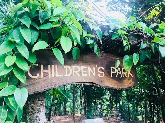 tree of life nature resort