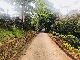 tree of life nature resort