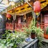jinzhong