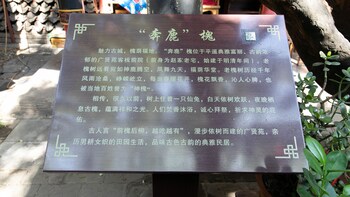 jinzhong