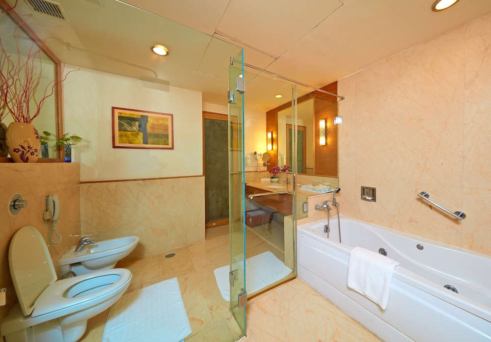 park plaza chennai omr