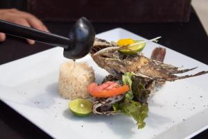 plaza pelicanos club beach resort all inclusive