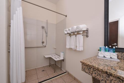 Holiday Inn Express & Suites Washington - Meadow Lands,In Washington,3 star