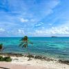 caribbean island hotel