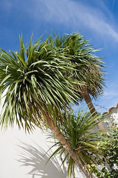 mandelieu la napoule