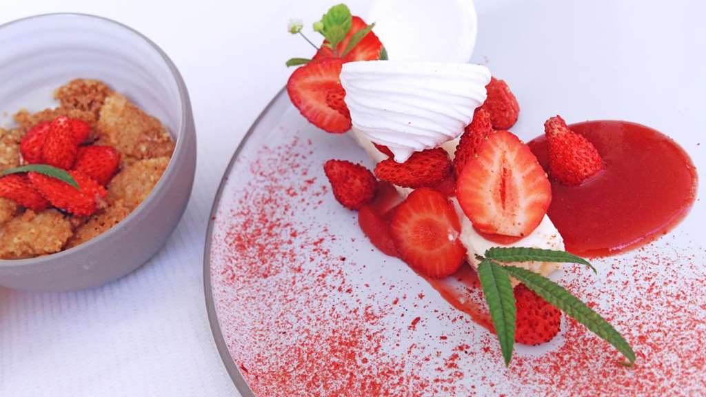 monte carlo bay hotel and resort