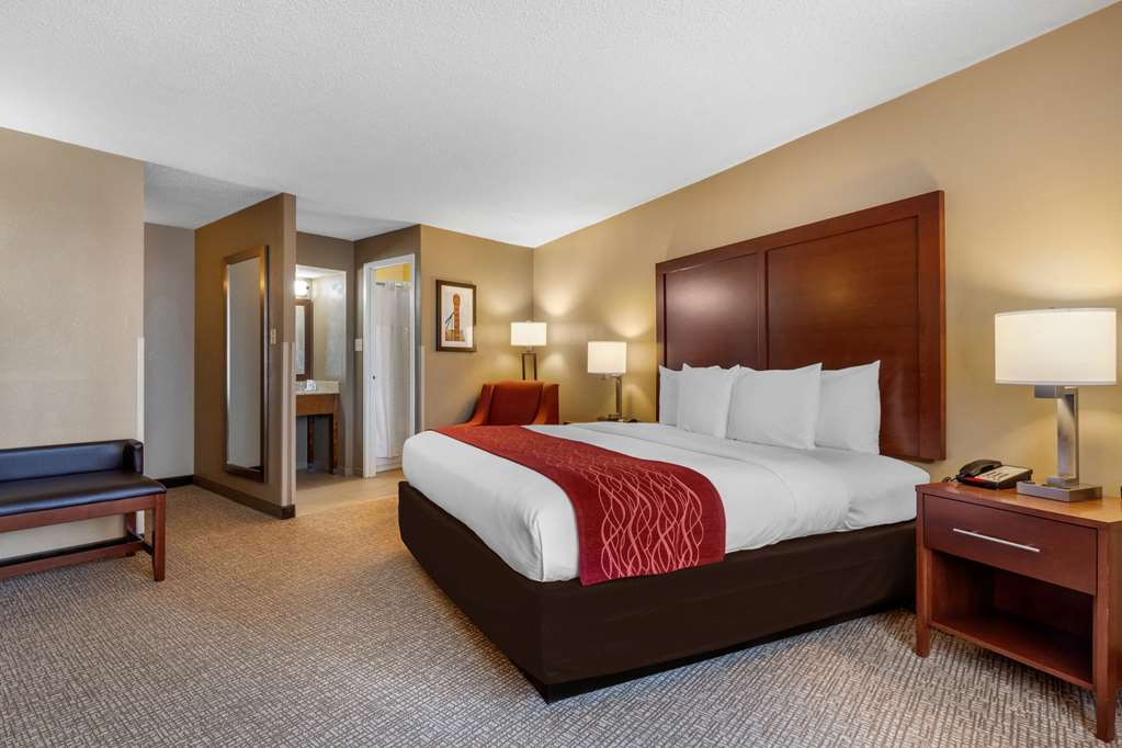 comfort inn memphis downtown