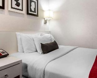 the moore a member of design hotels