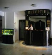 best western central hotel