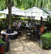 best western central hotel