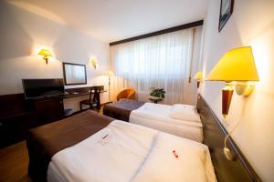 best western central hotel