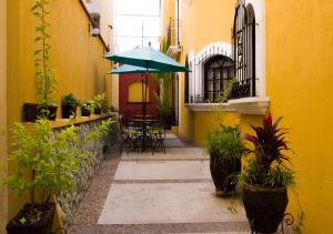 suites bello xochimilco by dot tradition