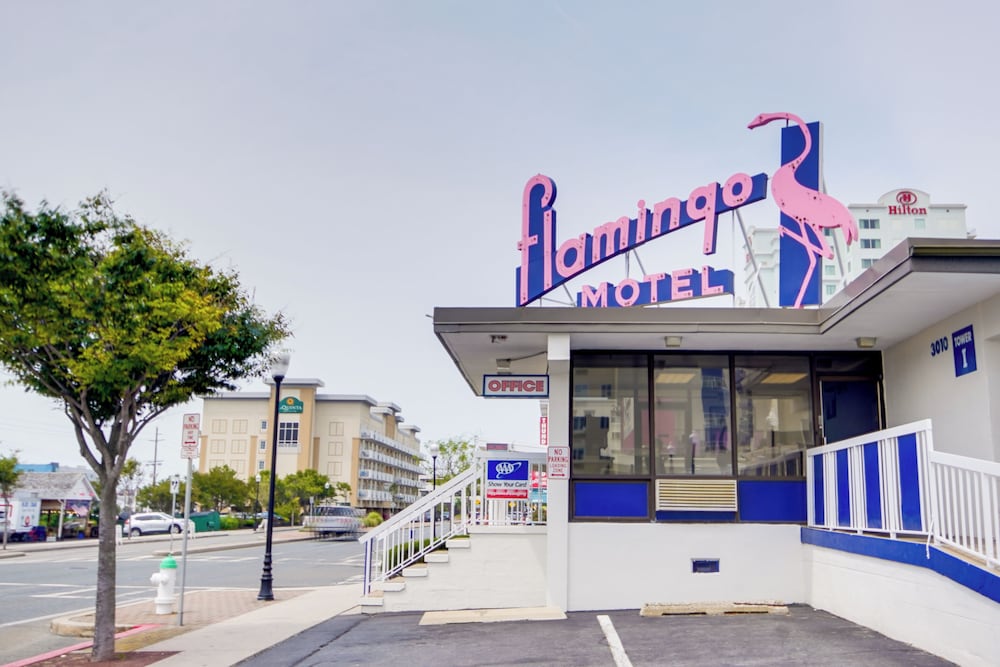 flamingo motel