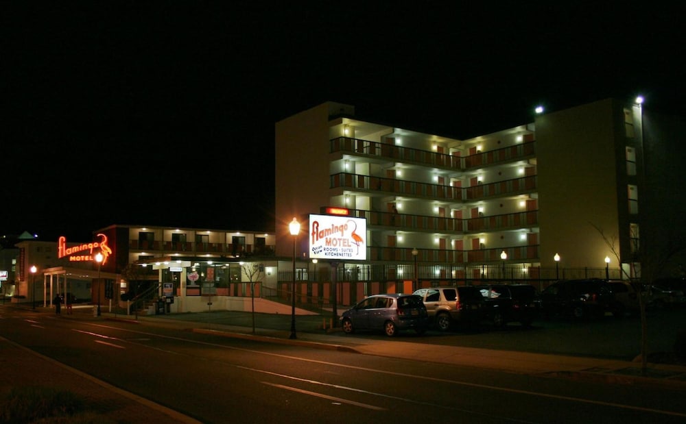 flamingo motel