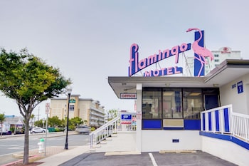 flamingo motel