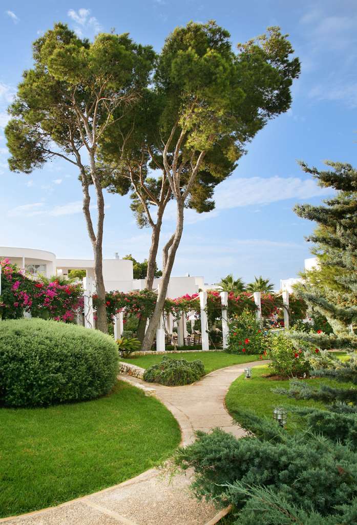 melia cala dor boutique hotel