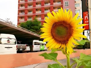 the ascent apartment