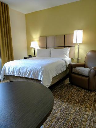 candlewood suites olive branch by ihg