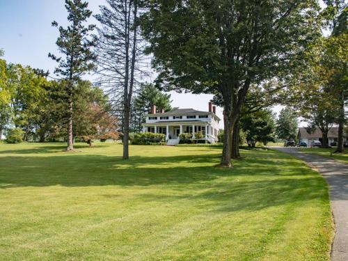 the neighbour house bandb