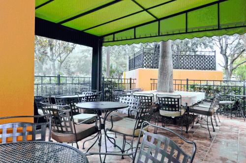 spark by hilton orlando near seaworld