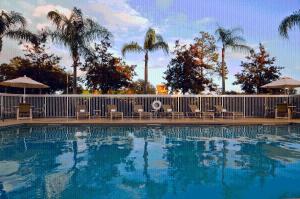 spark by hilton orlando near seaworld