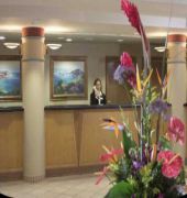 buena vista suites orlando