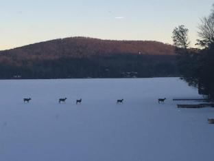 saranac lake