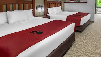 great wolf lodge williamsburg