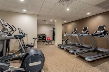 embassy suites by hilton orlando international dr icon park