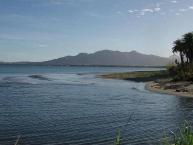 nadi