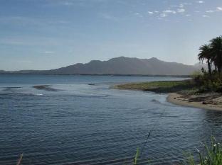nadi