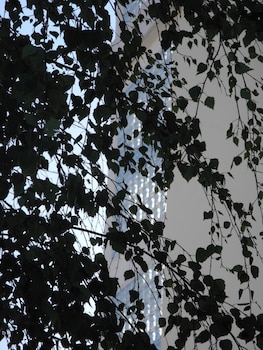 villa val senart 1ere avenue