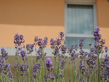 villa val senart 1ere avenue