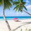 o2 beach club and spa by ocean hotels