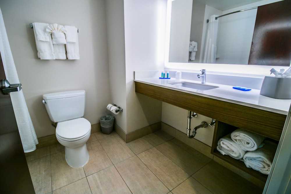 holiday inn express hotel and suites baton rouge port allen