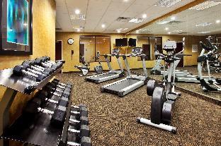 holiday inn express hotel and suites baton rouge port allen