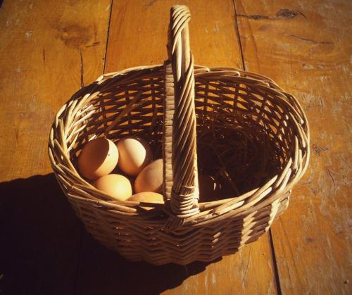 agroturismo mari cruz