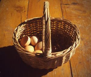 agroturismo mari cruz