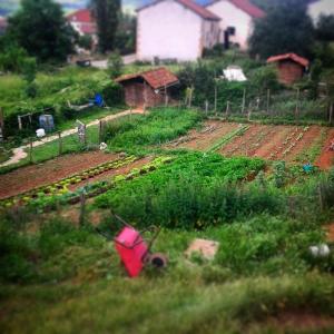 agroturismo mari cruz