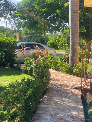 paradise montego bay beachfront villa