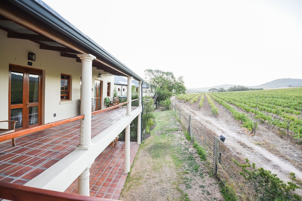 stellenbosch