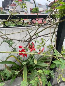 hanoi holiday diamond hotel