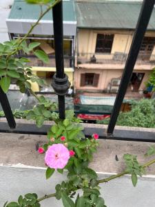 hanoi holiday diamond hotel