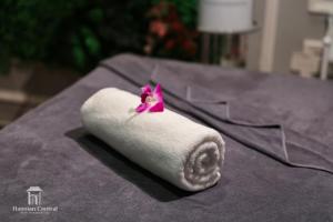 hanoian central hotel and spa