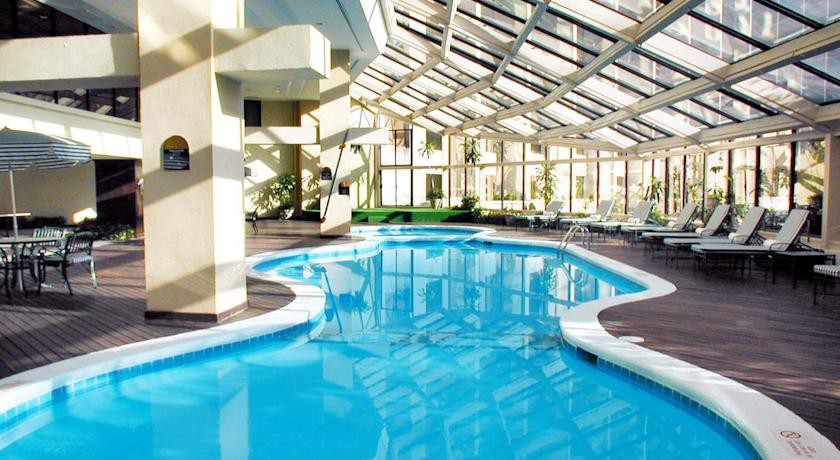 ms milenium monterrey curio collection by hilton