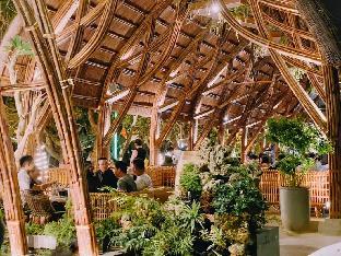 the light hotel and resort
