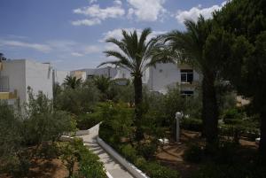 el mouradi club selima