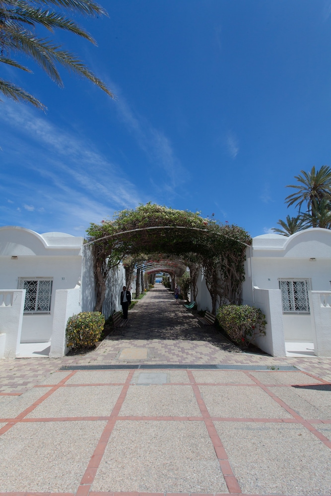 el mouradi club selima