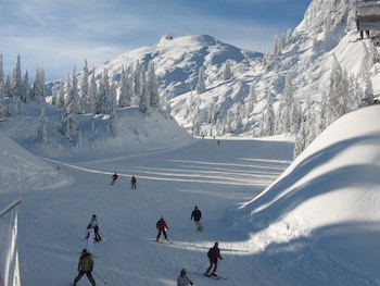 alp and wellnes sport hotel panorama