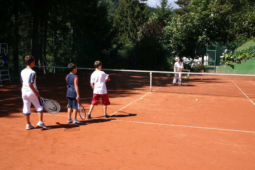 alp and wellnes sport hotel panorama